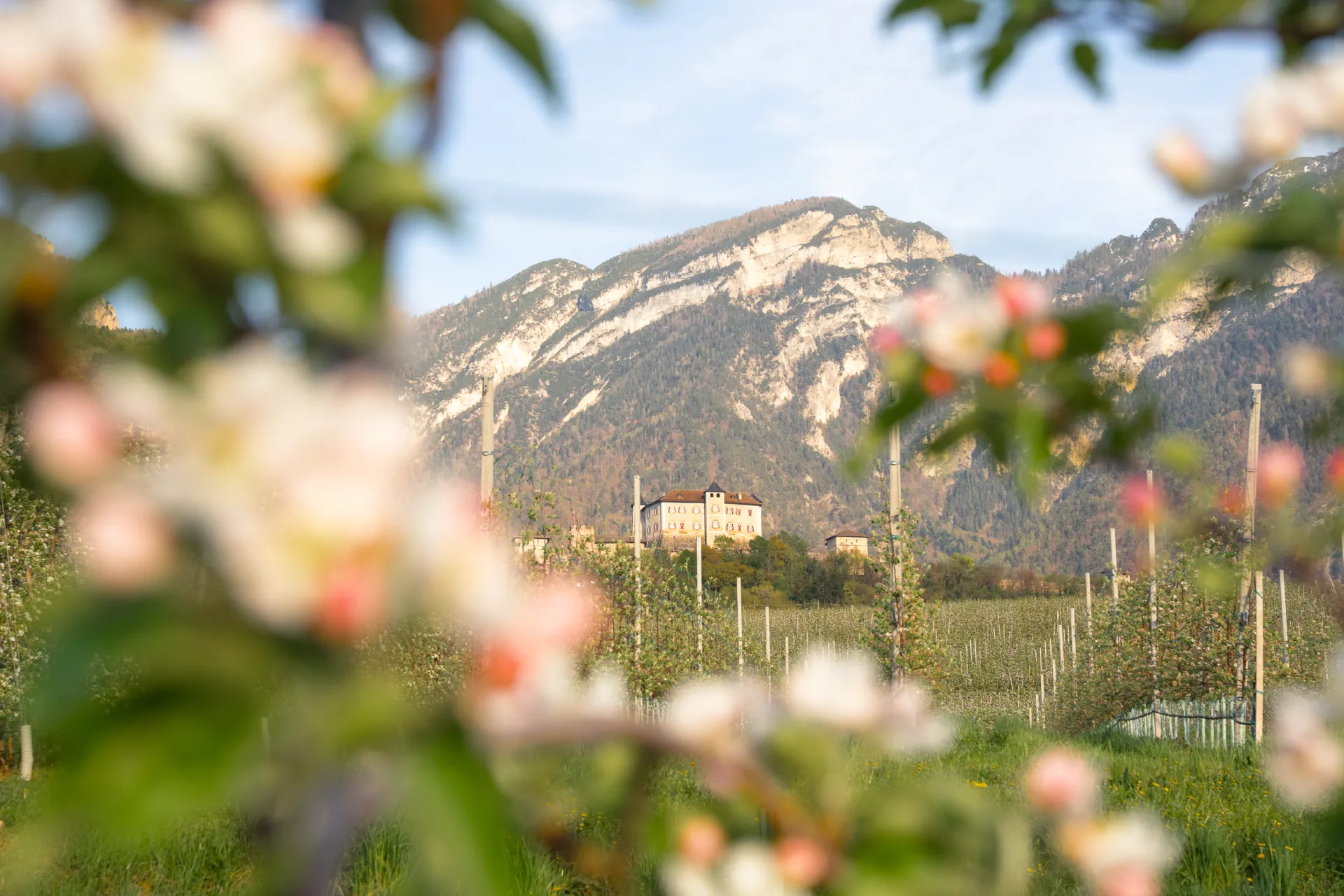 agritur val di non golden pause 3