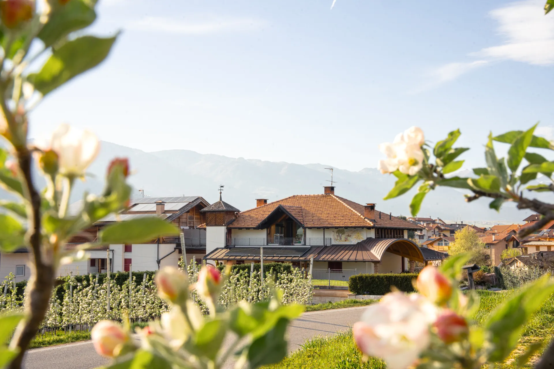 Golden Pause in Ton, Italy