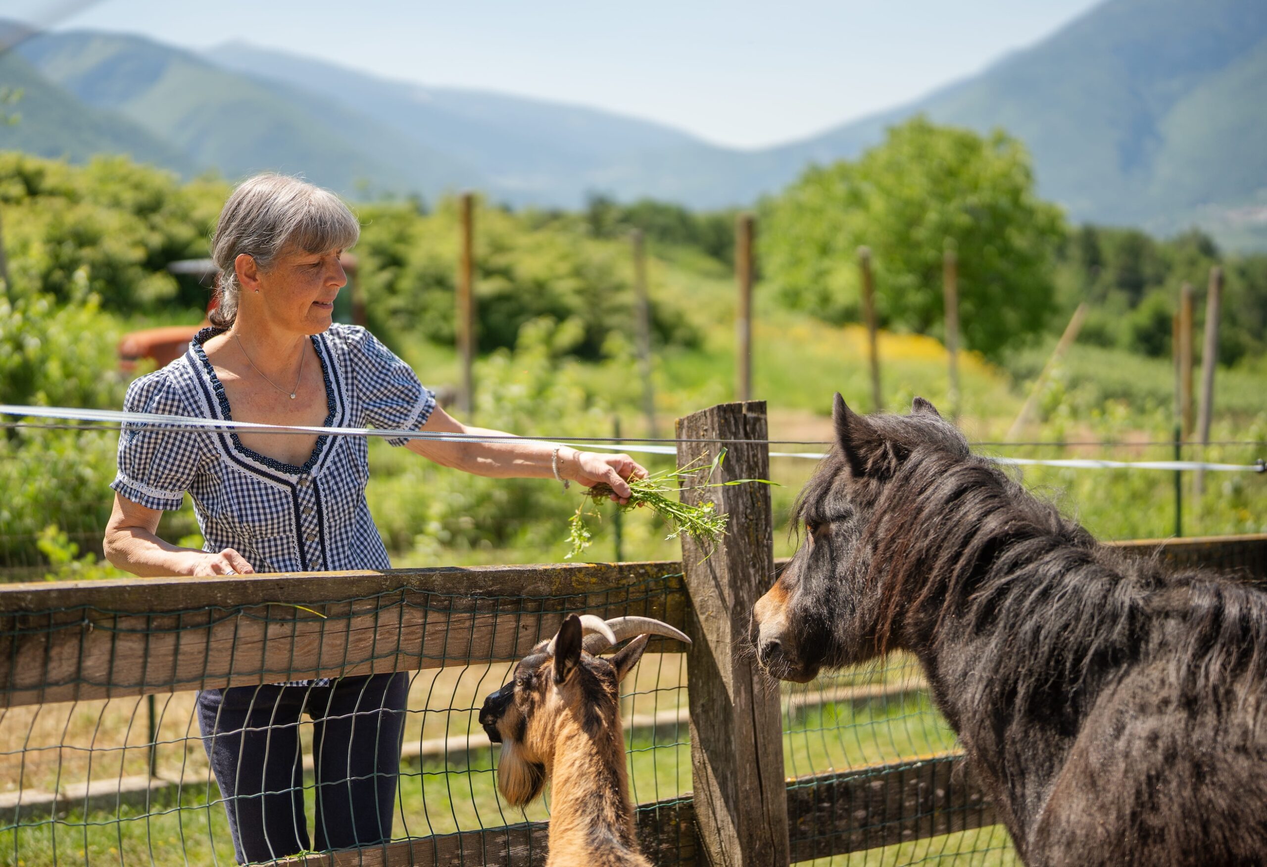 La Fattoria del Golden Pause