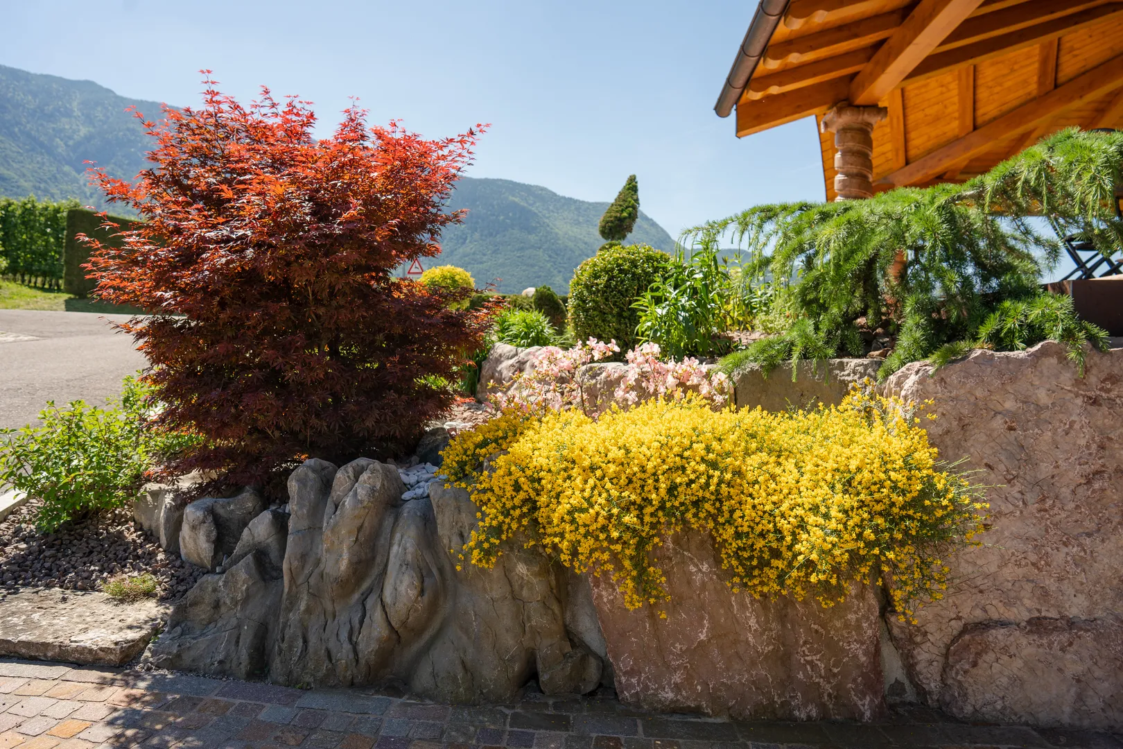 agritur golde pause ton val di non 5
