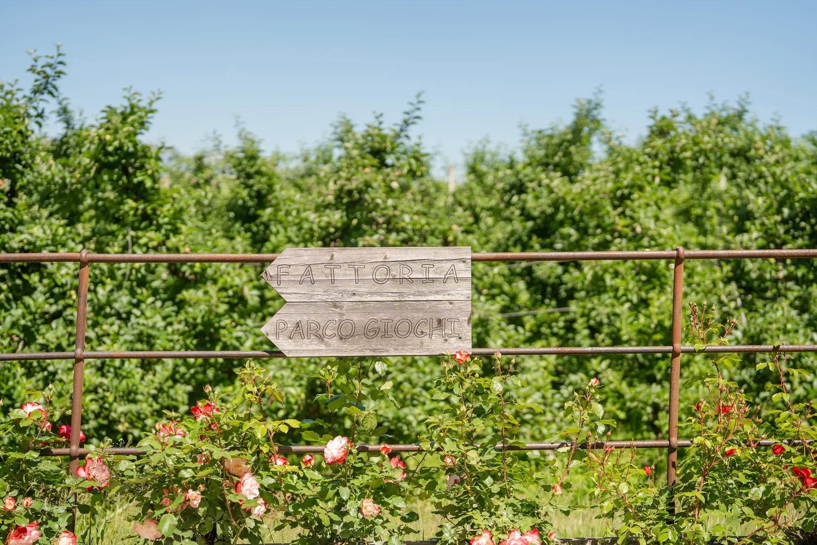 agritur golde pause ton val di non 6
